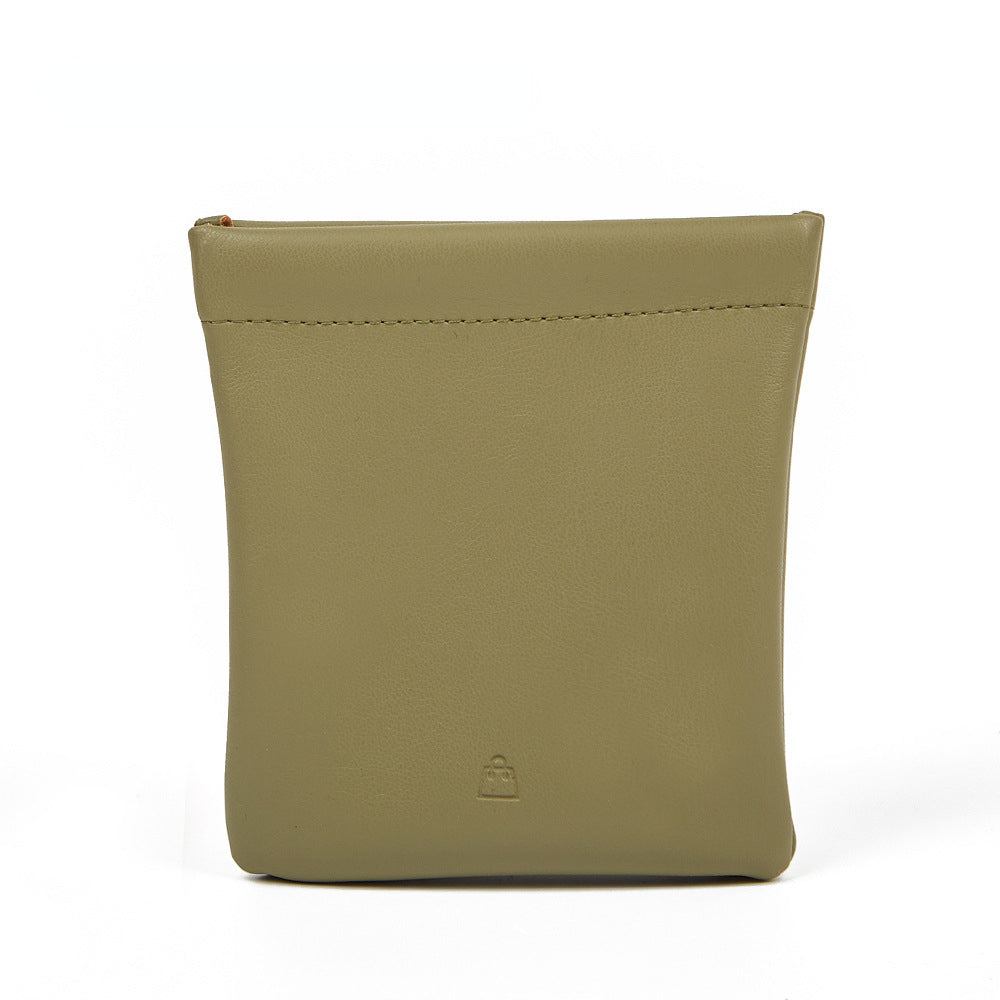 Pocket Cosmetic Bag, Pocket Cosmetic Bag, Portable Make Up Bags for Women Waterproof Mini Multifunctional Storage Bag Makeover Bag Travel Storage, for Cosmetics, Headphones 067-AA9-0004