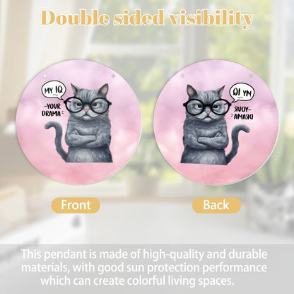  Artistic Round Acrylic Pendant | Mirror Light Catcher | BuyEcEc - Pendants & Ornaments - BuyEcEc